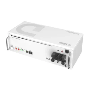 Dyness 24V 2.56Kw 100Ah DL2.5 Lithium Battery