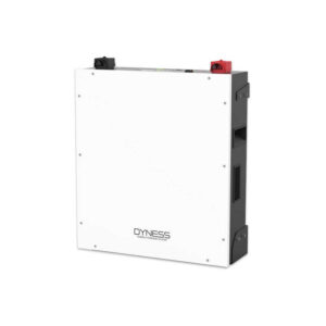 Dyness Battery 100ah/48v Lithium ion